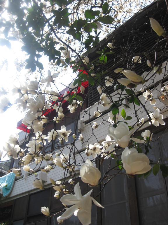 Icos Guesthouse 2 For Female Seoul Exterior foto